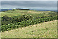 West Buckfastleigh: towards Wallaford Down