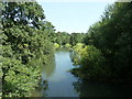 Downstream on the River Rother at Rotherbridge Farm