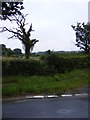 TM3250 : Footpath to Rookery Old House & the A1152 in Eyke by Geographer