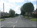 Smith Avenue - viewed from Rookes Avenue