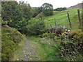 Footpath, Michael Wife Lane, Edenfield