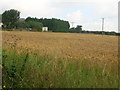 Farmland near West Wold Farm