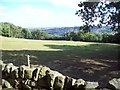 Field near Loxley Common