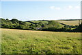 Fields above Huccombe