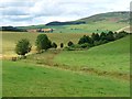 Farmland along Fodderlee Sike