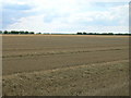 Farmland near Southfield Farm