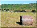 View across the River Coquet to Barrow Mill