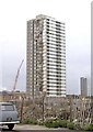 Tower block collapse. Canning Town