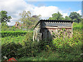 Shed by Slugwash Lane