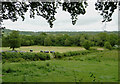 Aeron Valley farmland south-west of Llangeitho, Ceredigion