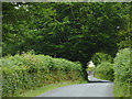 Lane north-east of Llangeitho, Ceredigion