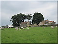 SE6092 : Old  Kiln  Farm by Martin Dawes