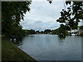 Walk along the Thames from Runnymede to Old Windsor (1)