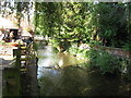 River Stour, from Rising Sun pub garden