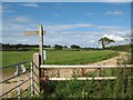 Farmland next to the A359 North of Bruton