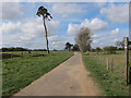 Path from Icklingham