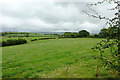 Pasture north of Stags Head, Ceredigion