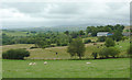 Farmland north-east of Stags Head, Ceredigion