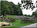 Medieval remains at Challacombe 