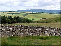 NT9207 : Wall beside Clennell Street by Andrew Curtis