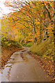 The Onset Of Autumn Near Hope