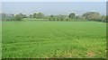 Arable land, Corvedale