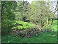 Tugford Brook