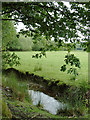 Brook and pasture south of Stags Head, Ceredigion