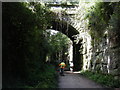 Wirral Way at Little Neston cutting