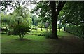 Alton Abbey, Medstead - Garden