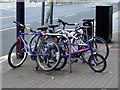 Cycle stand on Temple Gate