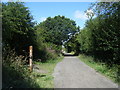 Wirral Way looking north