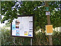 Restricted Byway sign & Great Bealings Village Notice Board