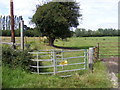 Footpath & Kissing Gate to Lower Road