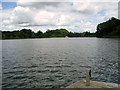 TG3613 : View across South Walsham Broad by Evelyn Simak