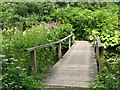 TG3613 : Bridge over water channel, Fairhaven Water Garden by Evelyn Simak