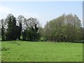 Grassland, Corvedale