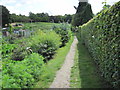 Footpath beside allotment gardens, Twyford