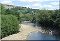 SE0498 : River Swale from Grinton Bridge by Pauline E