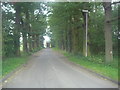 Albyns Lane, Passingford Bridge