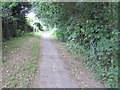 Footpath from School Road to Mayles Lane, Wickham