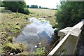 Ashbrook and Bridge, Pinfold Lane