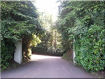 SX9281 : Entrance to Mamhead House estate by Rob Purvis