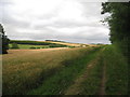 Bridleway to Hatcliffe