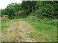 Footpath and gate below Port Lion