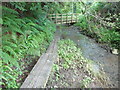 Footbridge and boardwalk near Llangwm