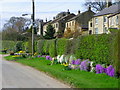 Colourful verge, Healey