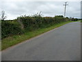 Trig point in the hedgerow near Tair Croes Farm