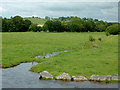 Pasture by the Afon Teifi at Pont Gogoyan, Ceredigion