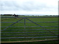 Paddocks near Groes Farm